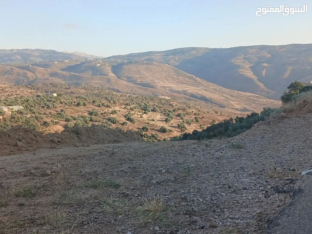 أرض زراعية وسكنية مميزة للبيع في جرش – برما