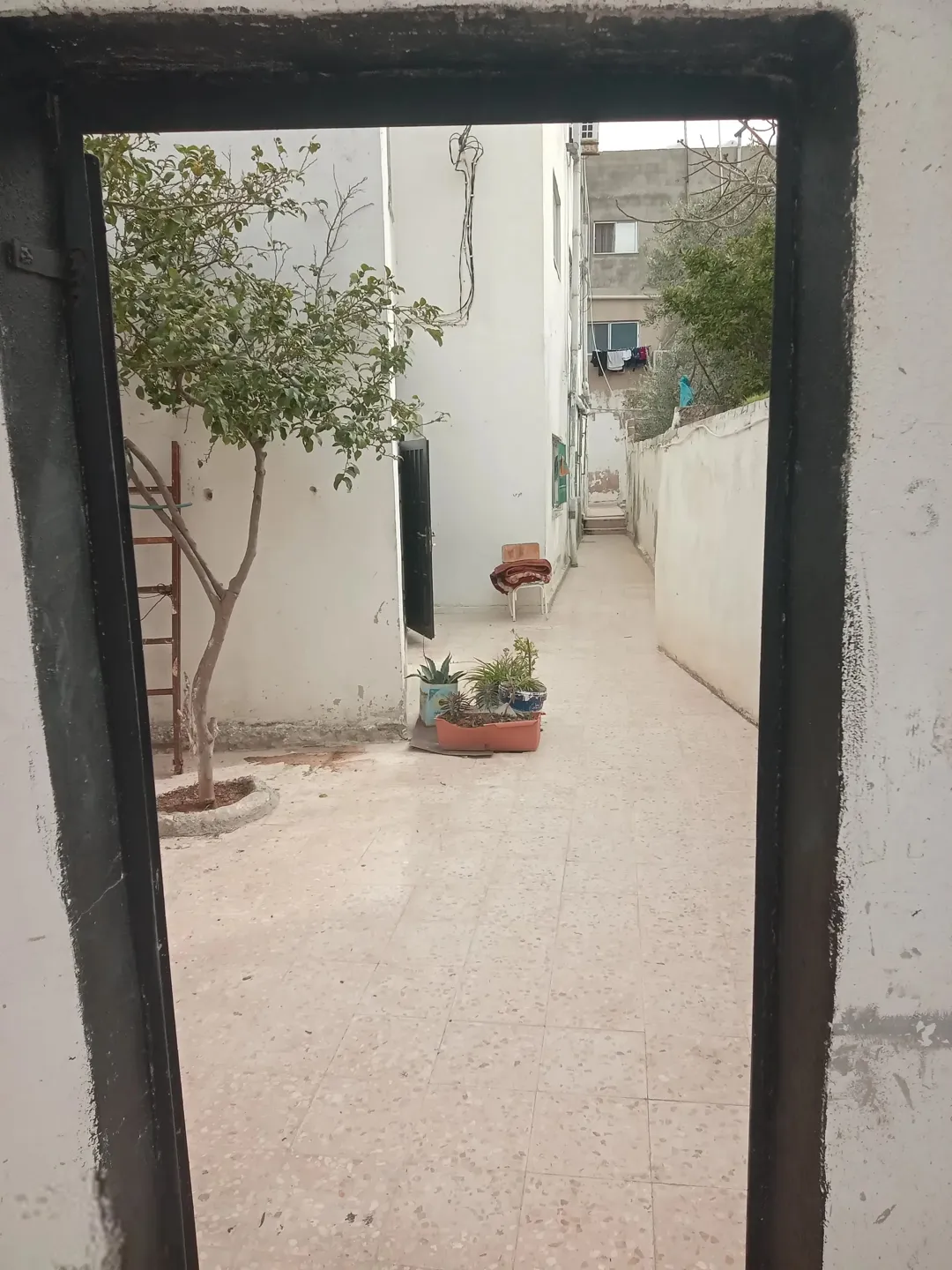 عمارة مكونة من اربع طوابق تصلح للإستثمار بسعر مغري جدا جدا جدا مباشرة
