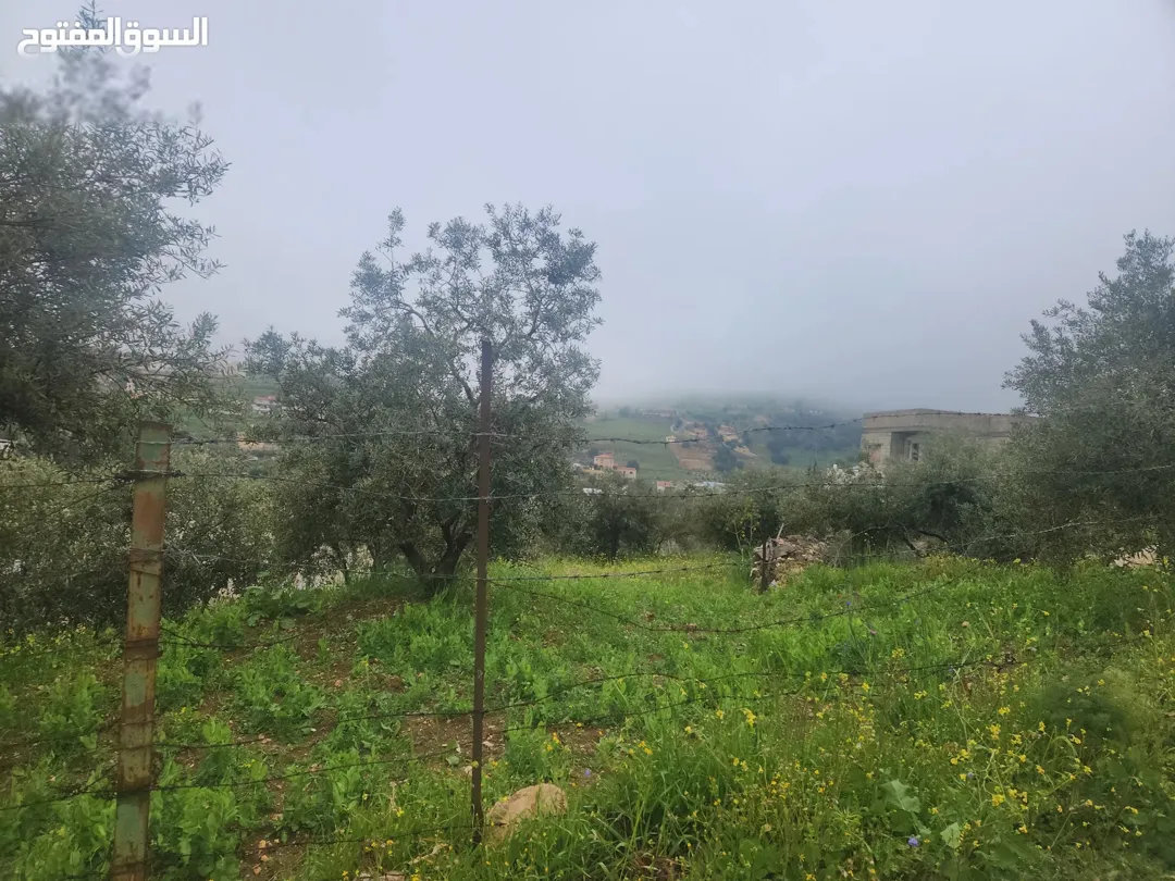 شقة فاخرة في بدر الجديدة الرباب العبدلي – عمان الغربية