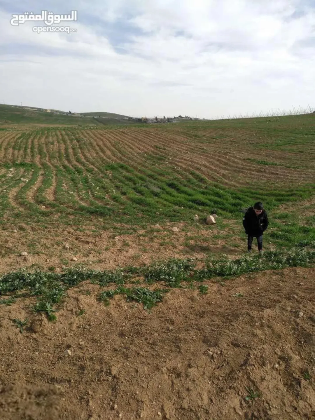 أرض للبيع في بلعما بموقع مميز وإطلالة مفتوحة 3784 متر مربع