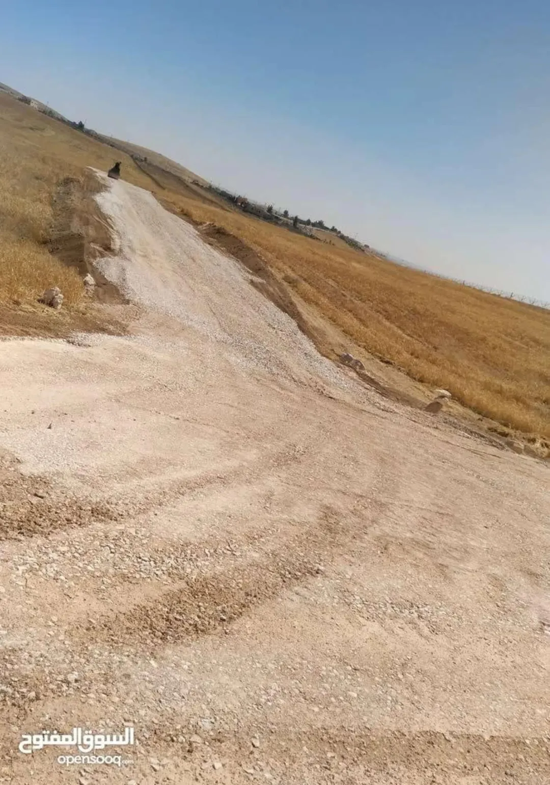 أرض للبيع في بلعما بموقع مميز وإطلالة مفتوحة 3784 متر مربع