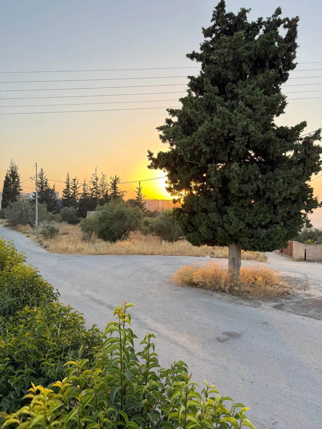قطعة ارض للبيع ناعور العامرية