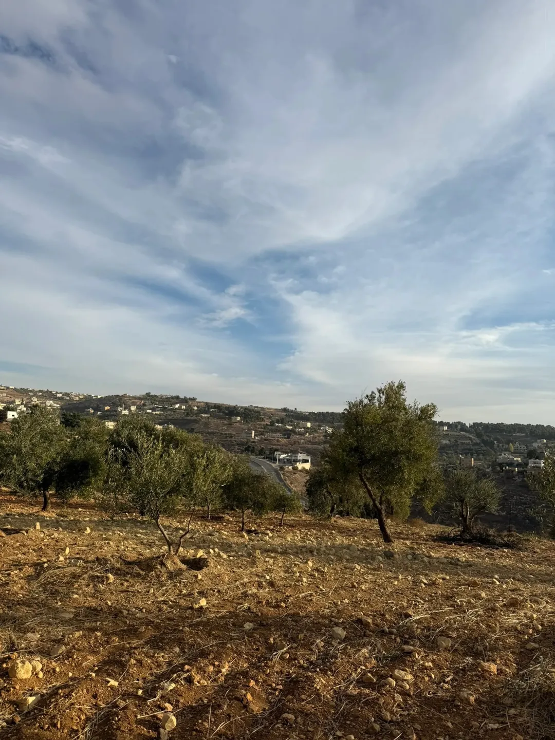 قطعة ارض للبيع ناعور العامرية — صورة 2