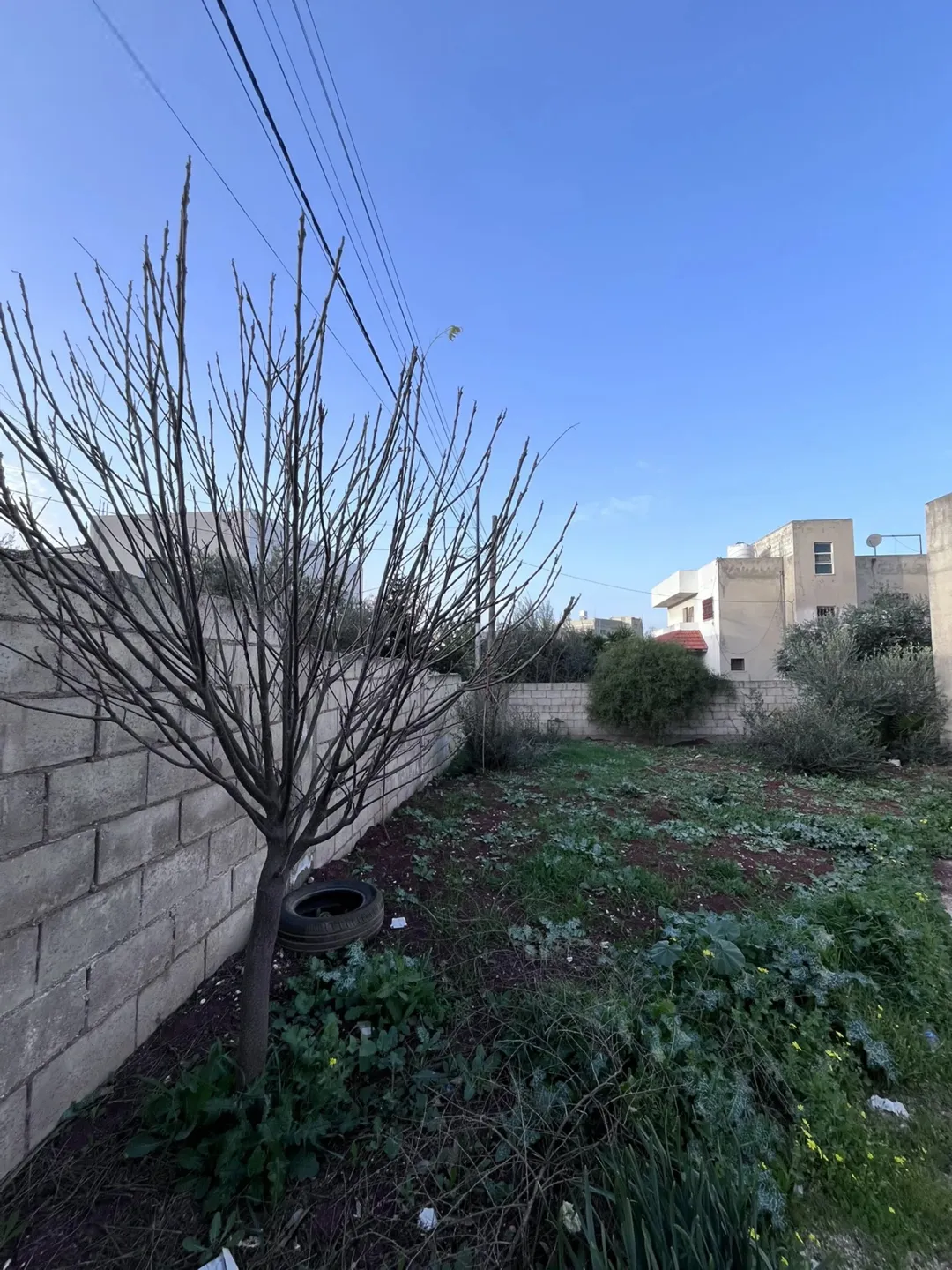 بيت مستقل للبيع / اربد دوار الروضه شارع الثلاثين