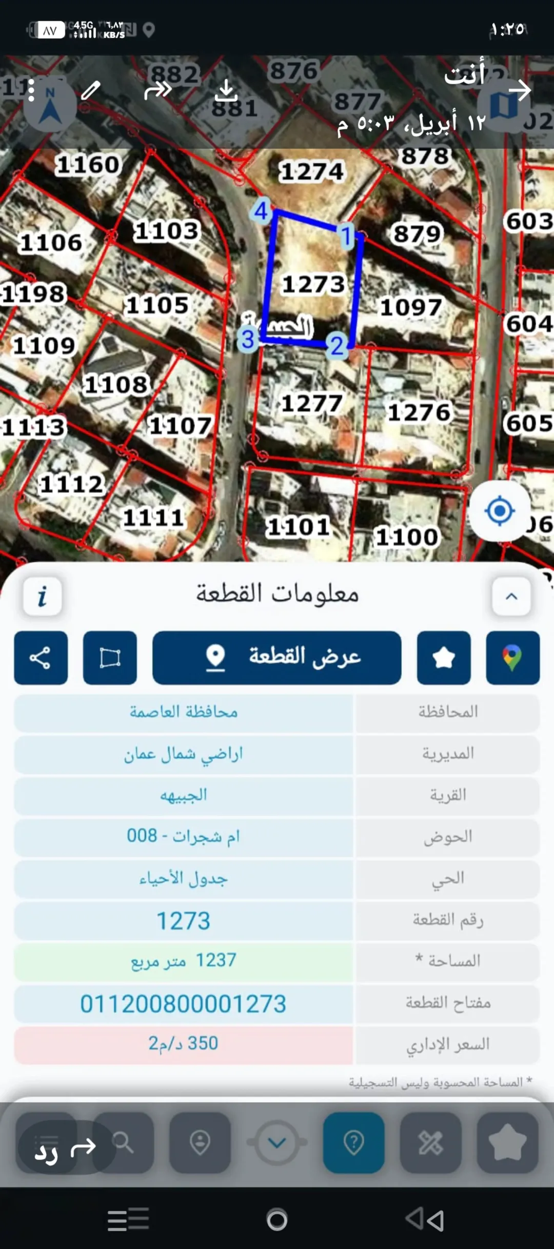 أراضٍ للبيع فرصة استثمارية في الرابية