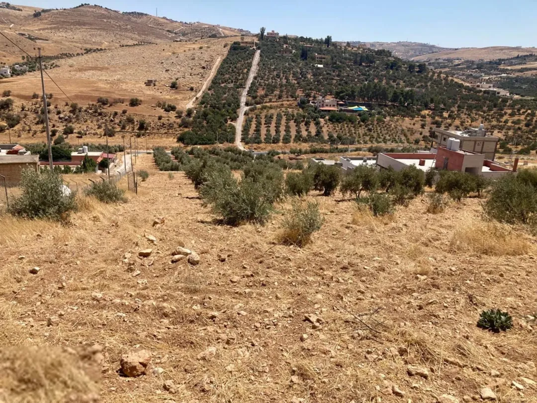 قطعة أرض مميزة في بيرين مباشرة إطلالة خلابة وارتفاع استثنائي