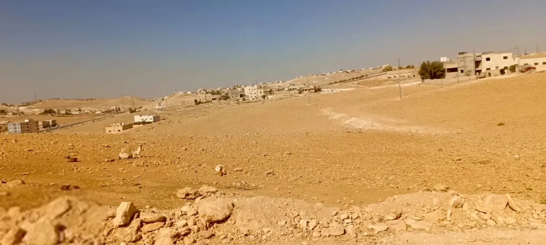 قطعة أرض للبيع كاش