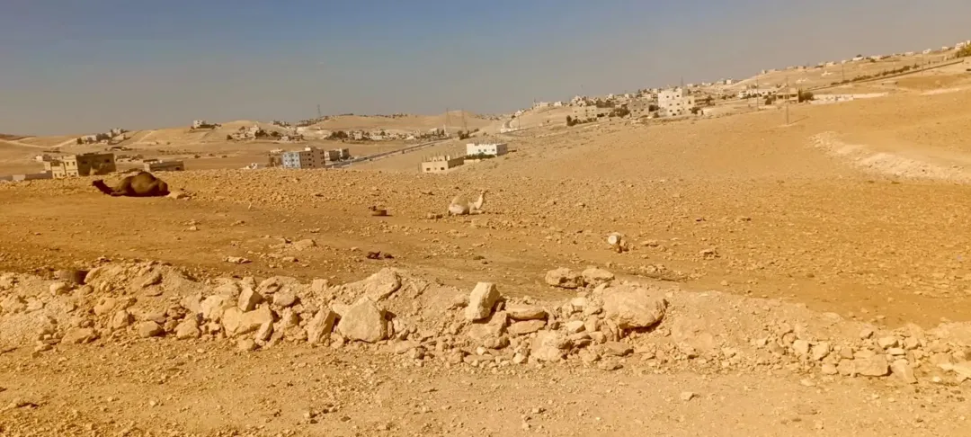 قطعة أرض للبيع كاش