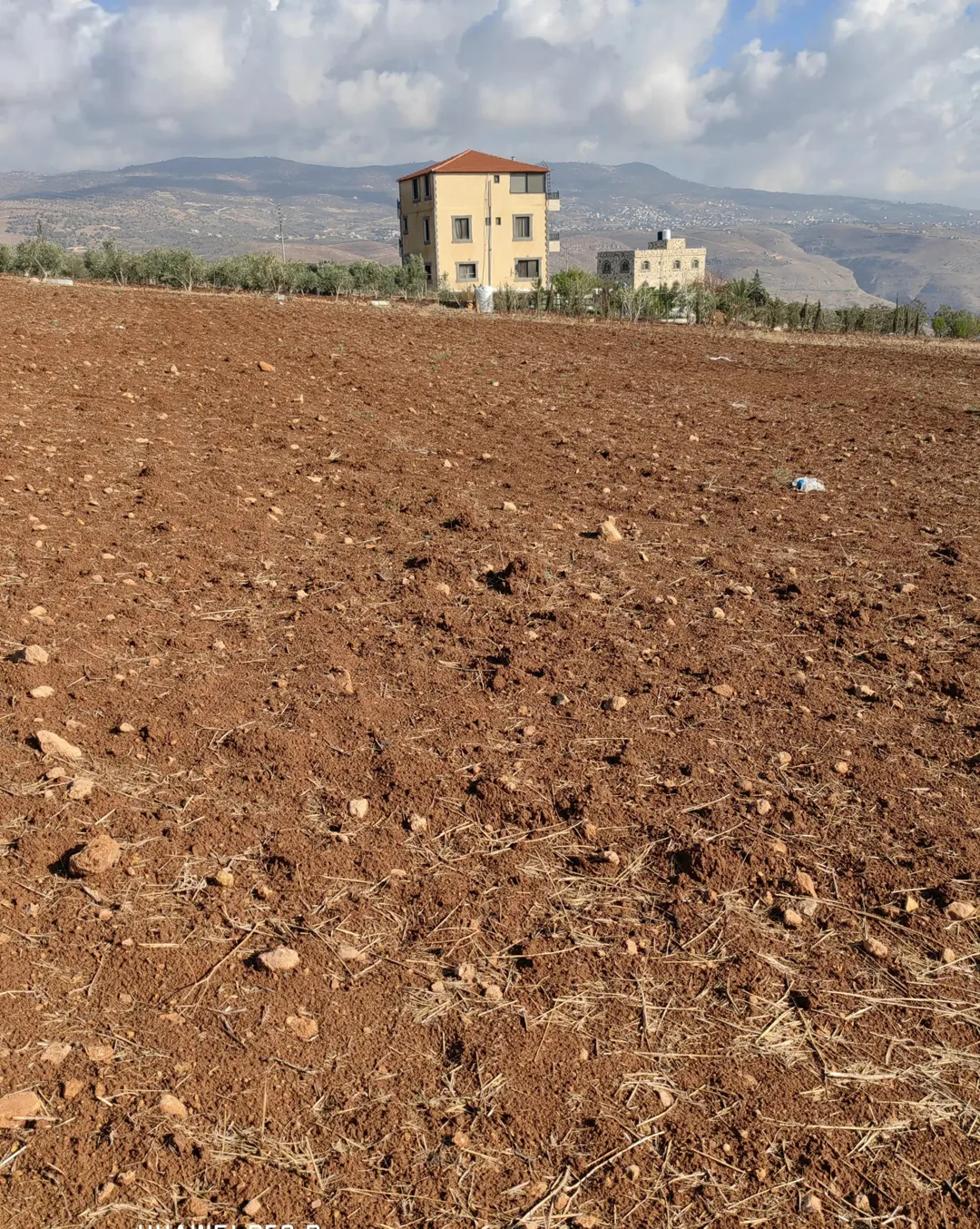 أرض زراعية مميزة للبيع في منطقة الصبيحي