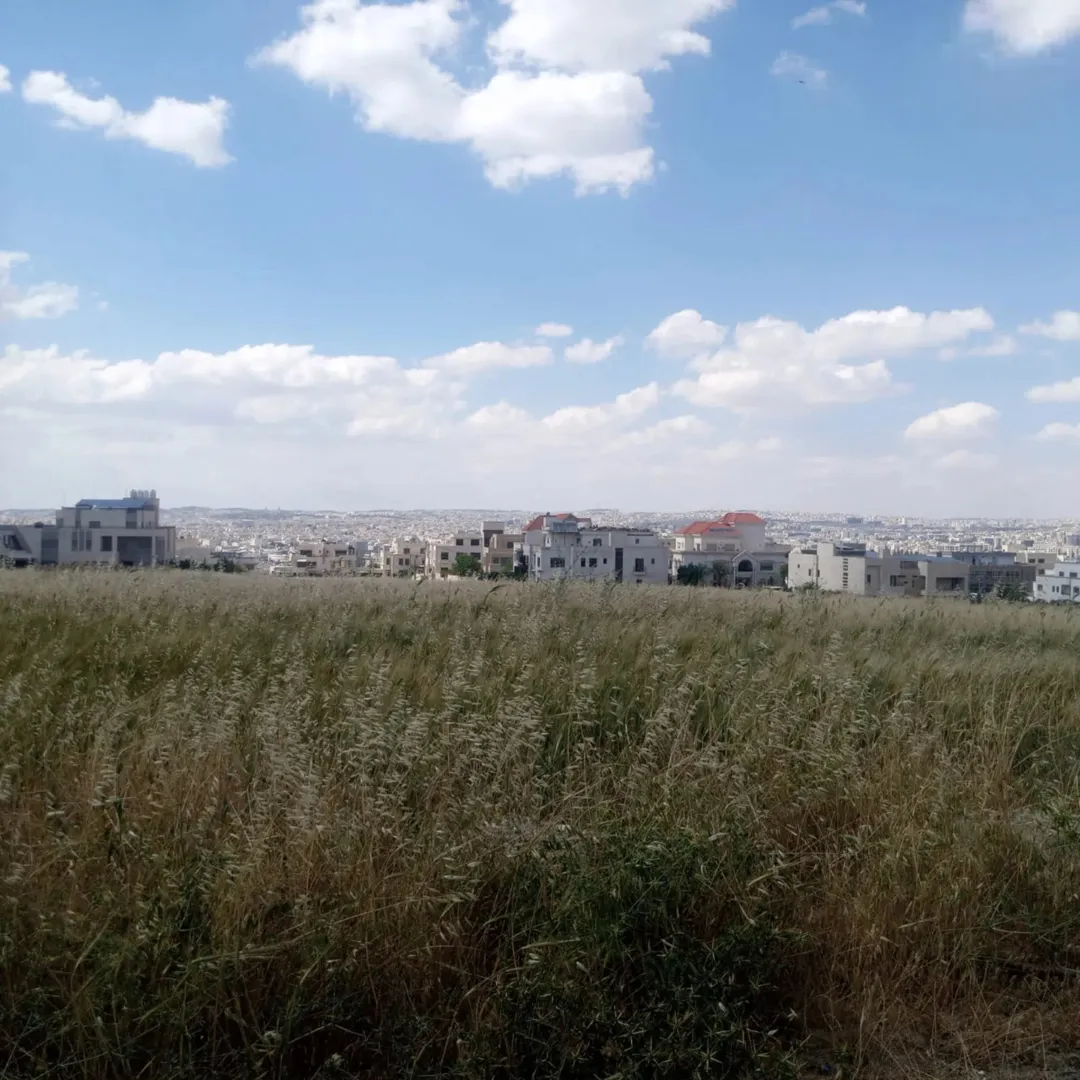 قطعة أرض سكنية للبيع في منطقة الظهير – طريق المطار