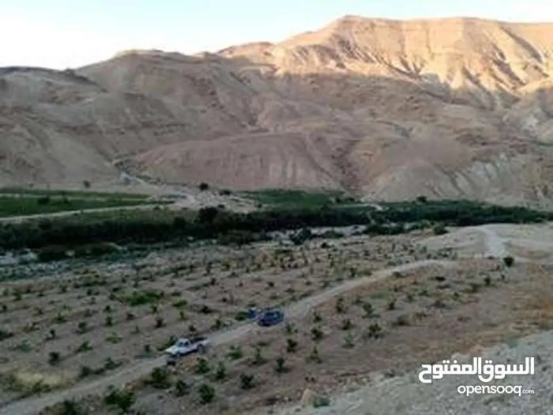 أرض زراعية مميزة للبيع بالقرب من سد الموجب