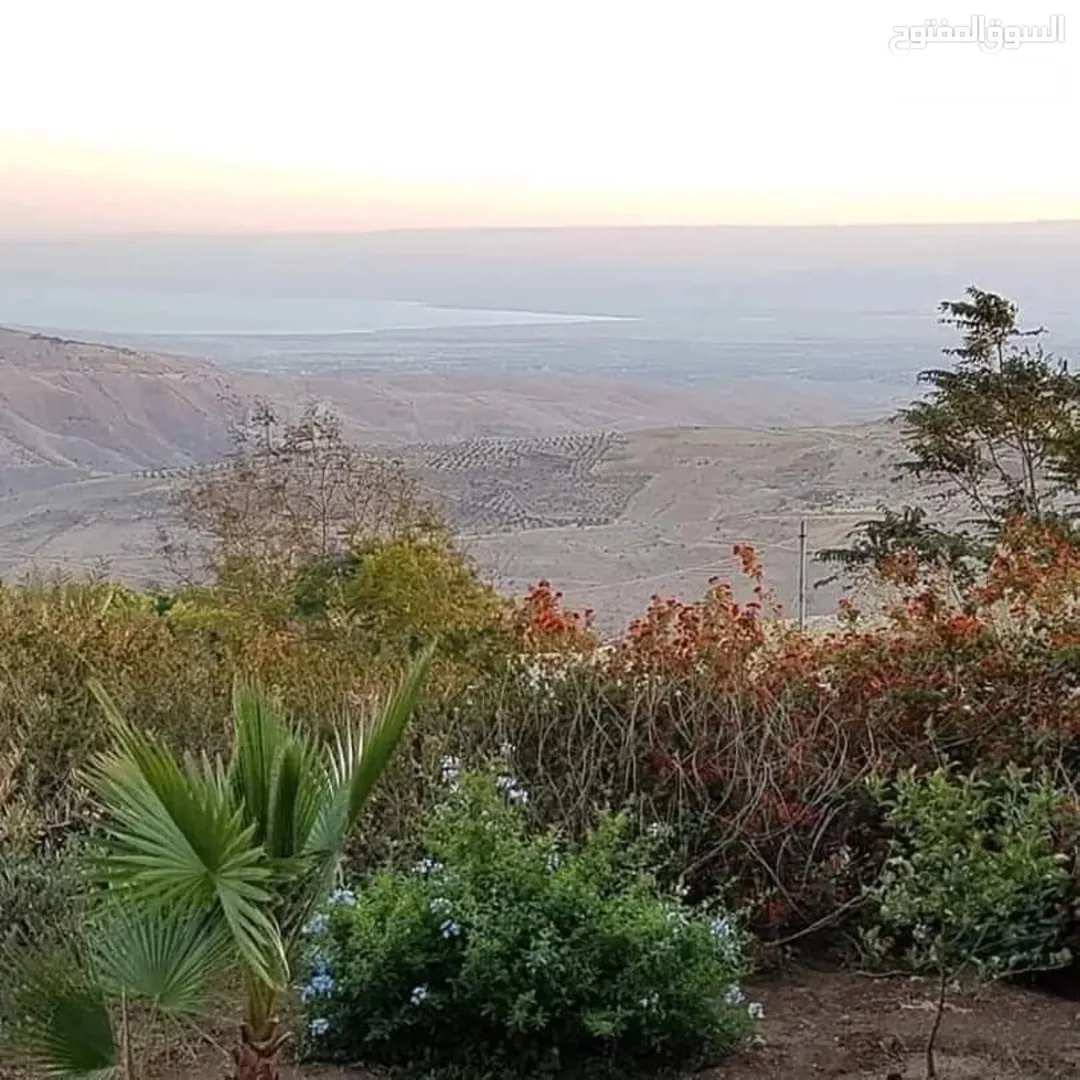 مزرعة مع مسبح في عمان ابو السوس للبيع