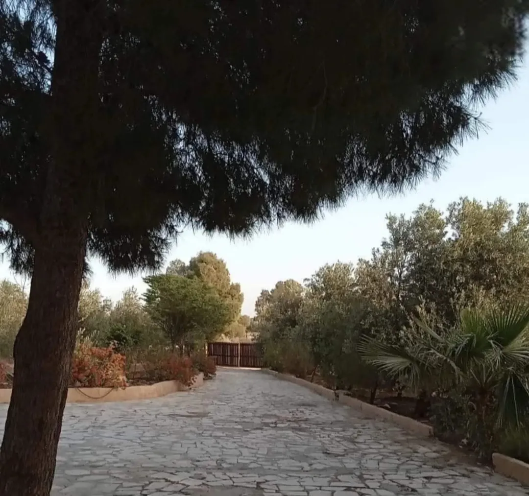 مزرعة مع مسبح في عمان ابو السوس للبيع