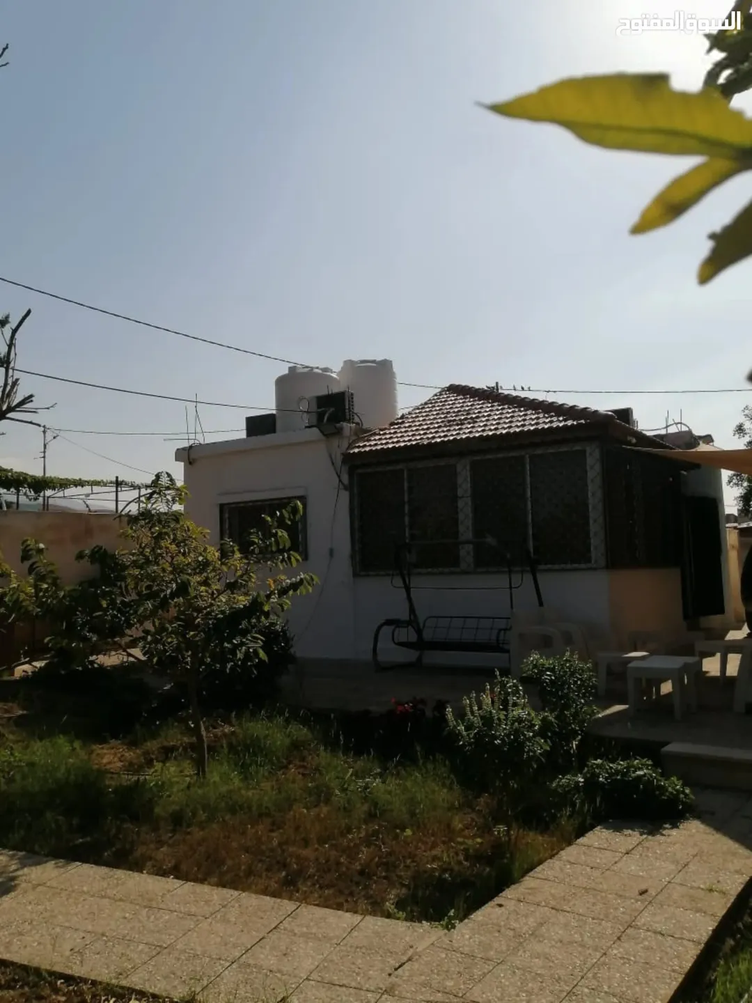 بيت مزرعة (ترخيص سكن) مزروعة شجر مثمر مع بير في منطقة الاغوار الوسطى ظهرة الرمل — صورة 4