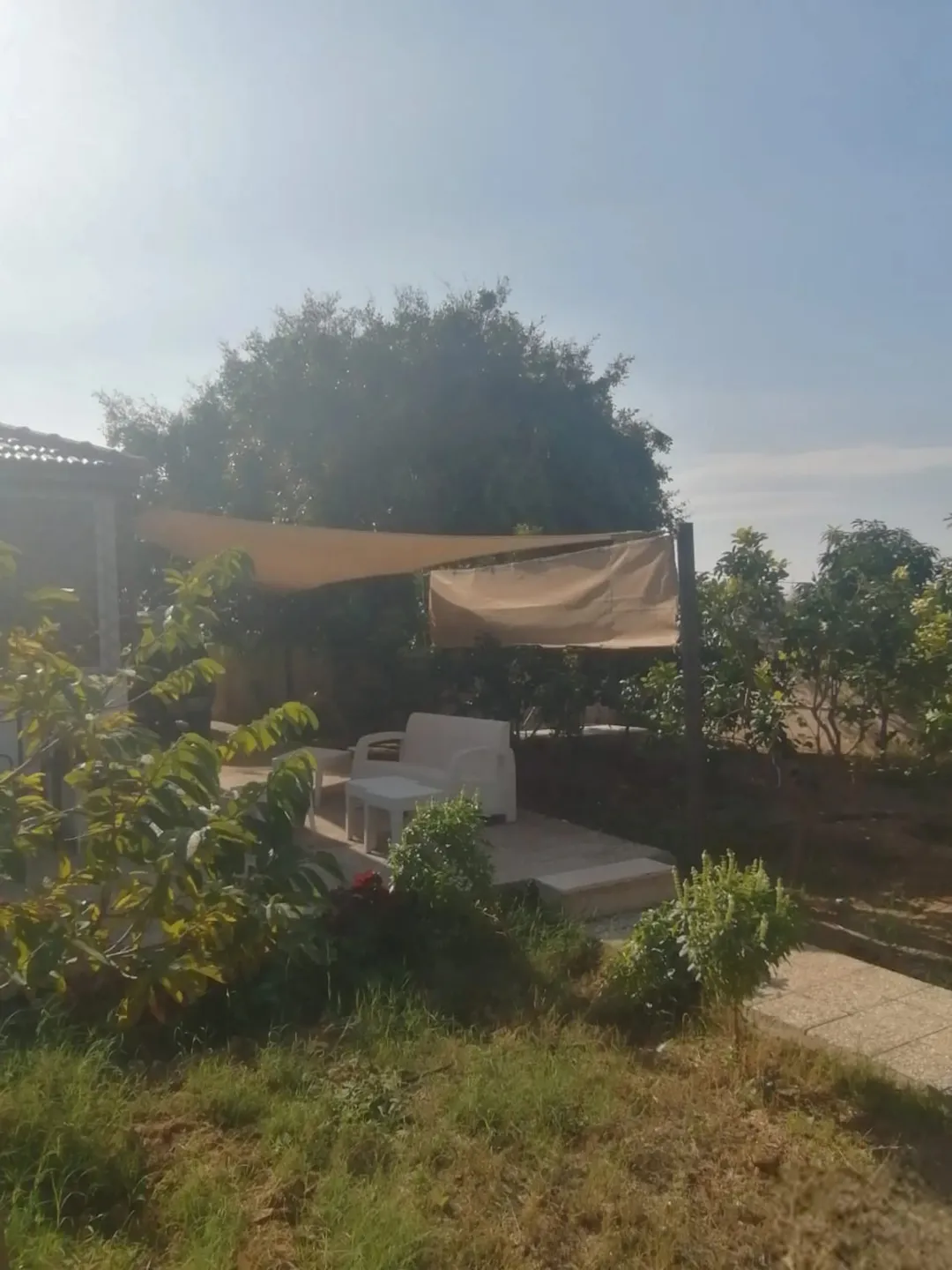 بيت مزرعة (ترخيص سكن) مزروعة شجر مثمر مع بير في منطقة الاغوار الوسطى ظهرة الرمل