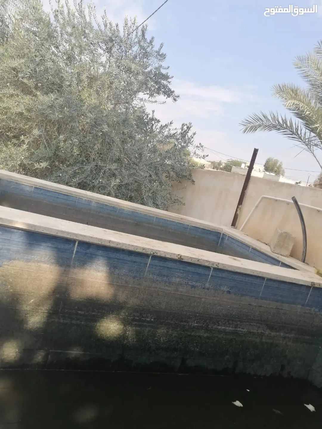 بيت مزرعة (ترخيص سكن) مزروعة شجر مثمر مع بير في منطقة الاغوار الوسطى ظهرة الرمل
