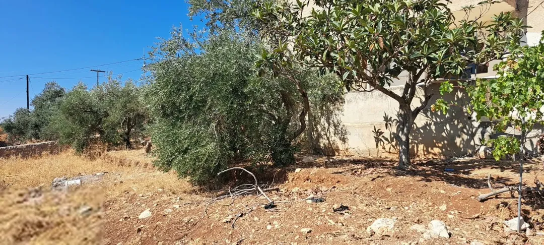 منزل مستقل للبيع — صورة 5