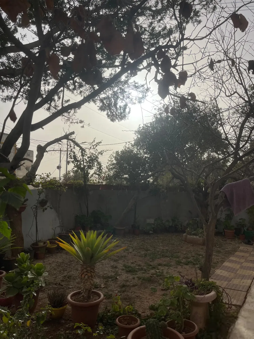 بيت مستقل للبيع في الهاشمية