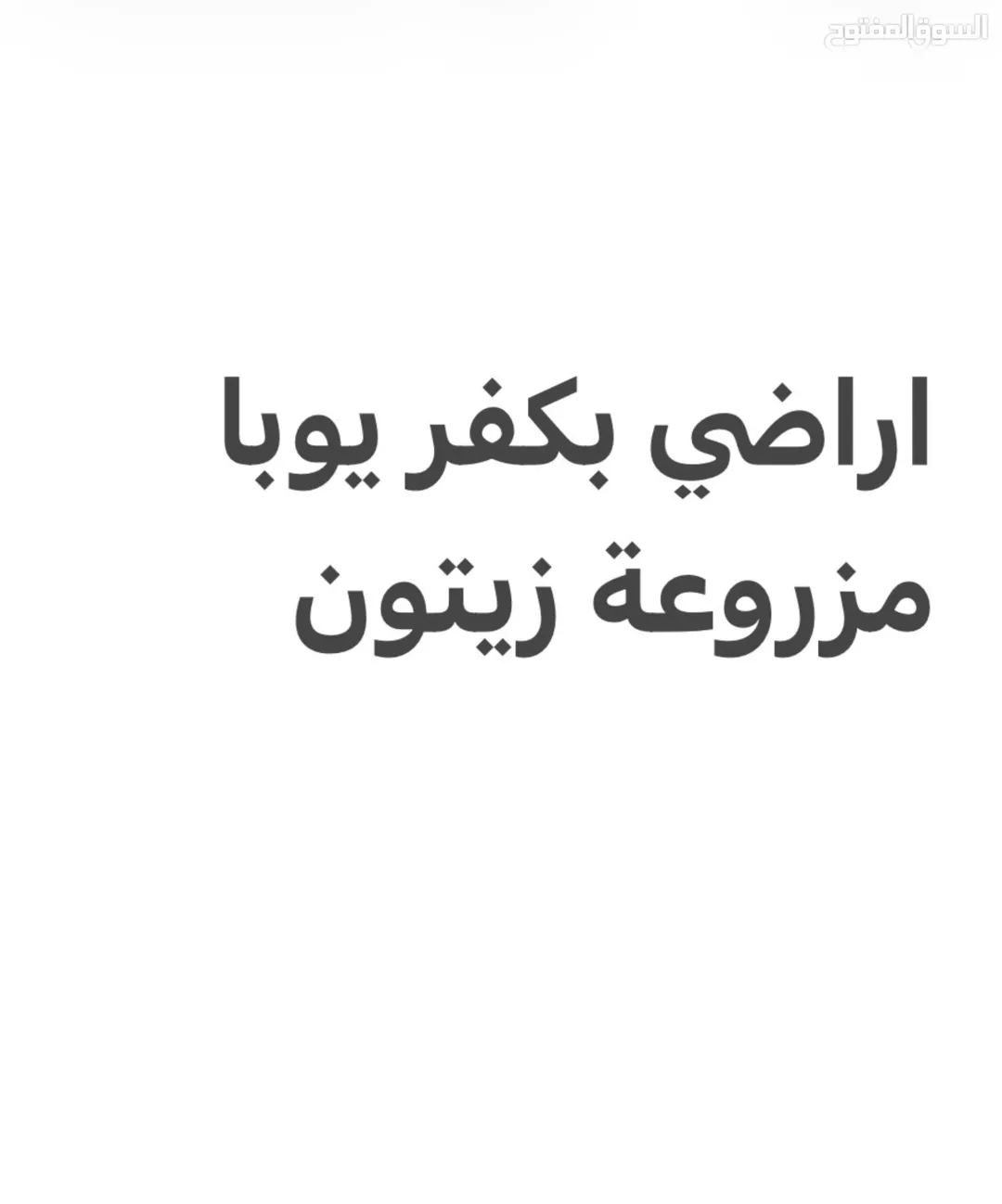 للبيع أرض مزروعة بالزيتون في كفر يوبا