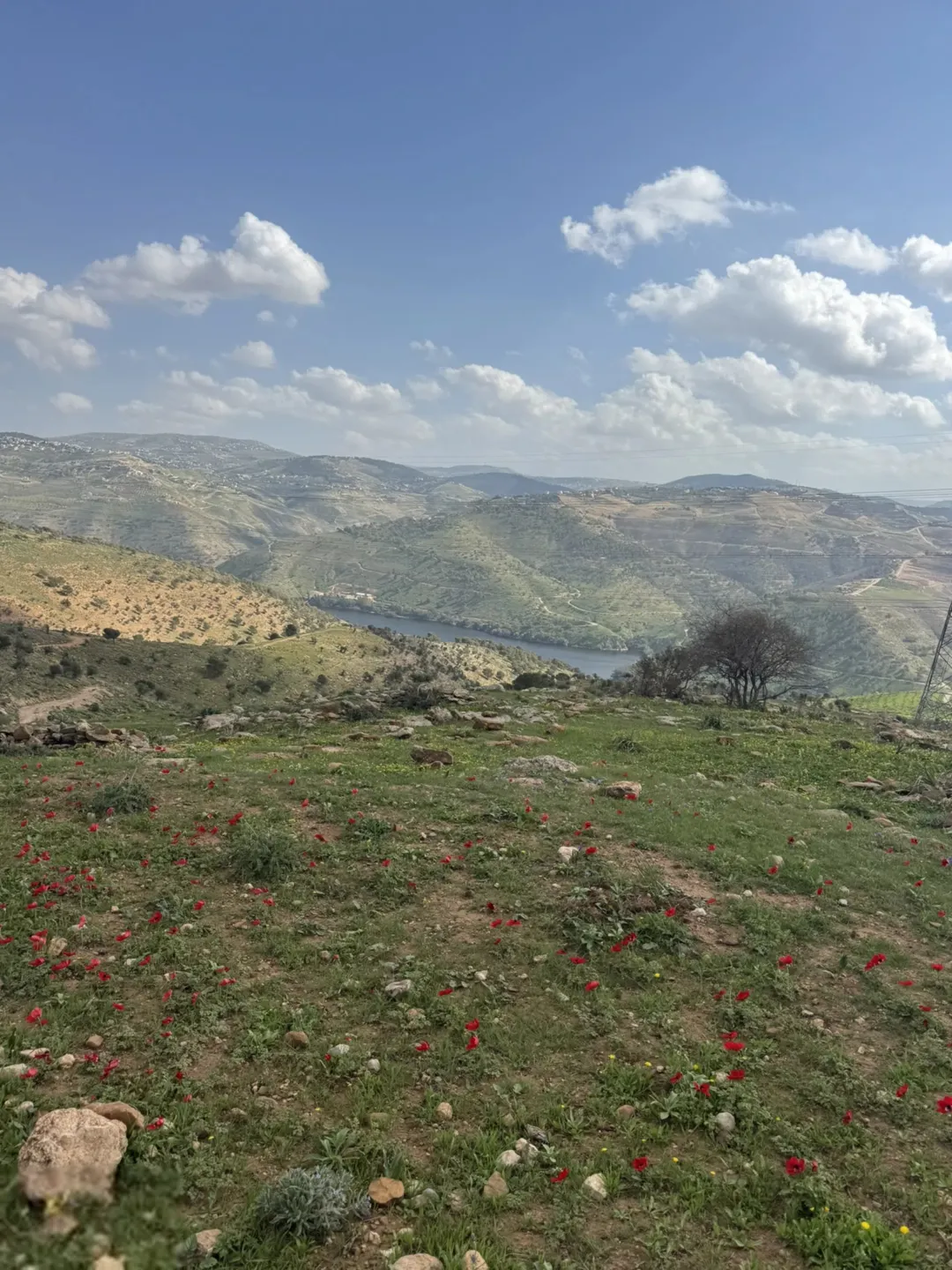 قطعه ارض مميزه للبيع