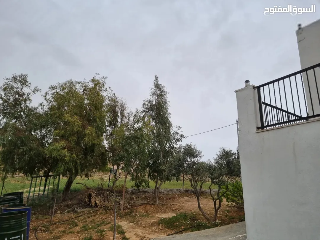 مزرعة للبيع في بلعما 5 6 دونم مع شاليه وبرنده