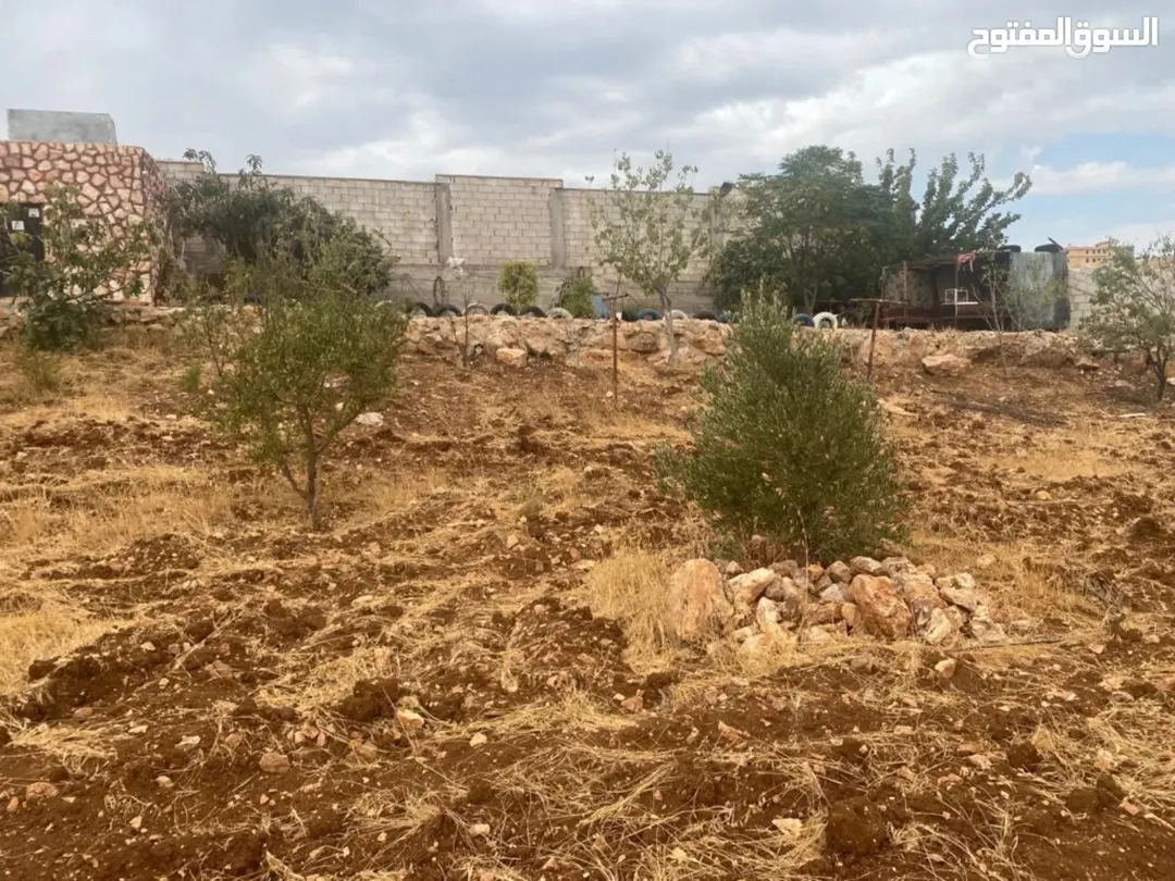 على البدل قفقفا 13 دنم منطقة مزارع وشاليهات وطبيعة خلابة مسيجة جدار حجر