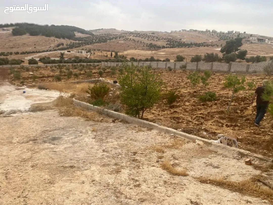 على البدل قفقفا 13 دنم منطقة مزارع وشاليهات وطبيعة خلابة مسيجة جدار حجر