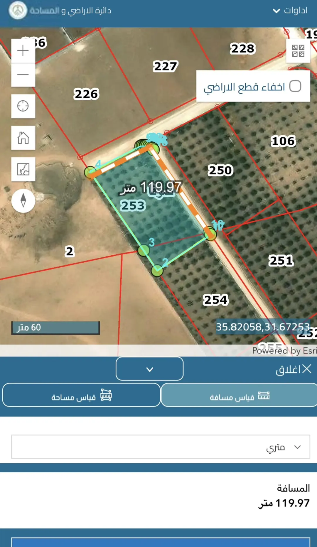 مزرعة زيتون خلابة بموقع استراتيجي في عمان