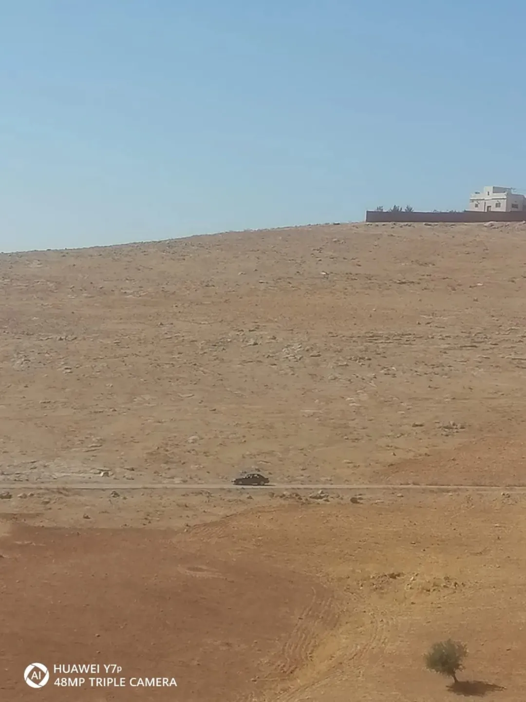 أرض زراعية للبيع في منطقة المعمرية – المفرق