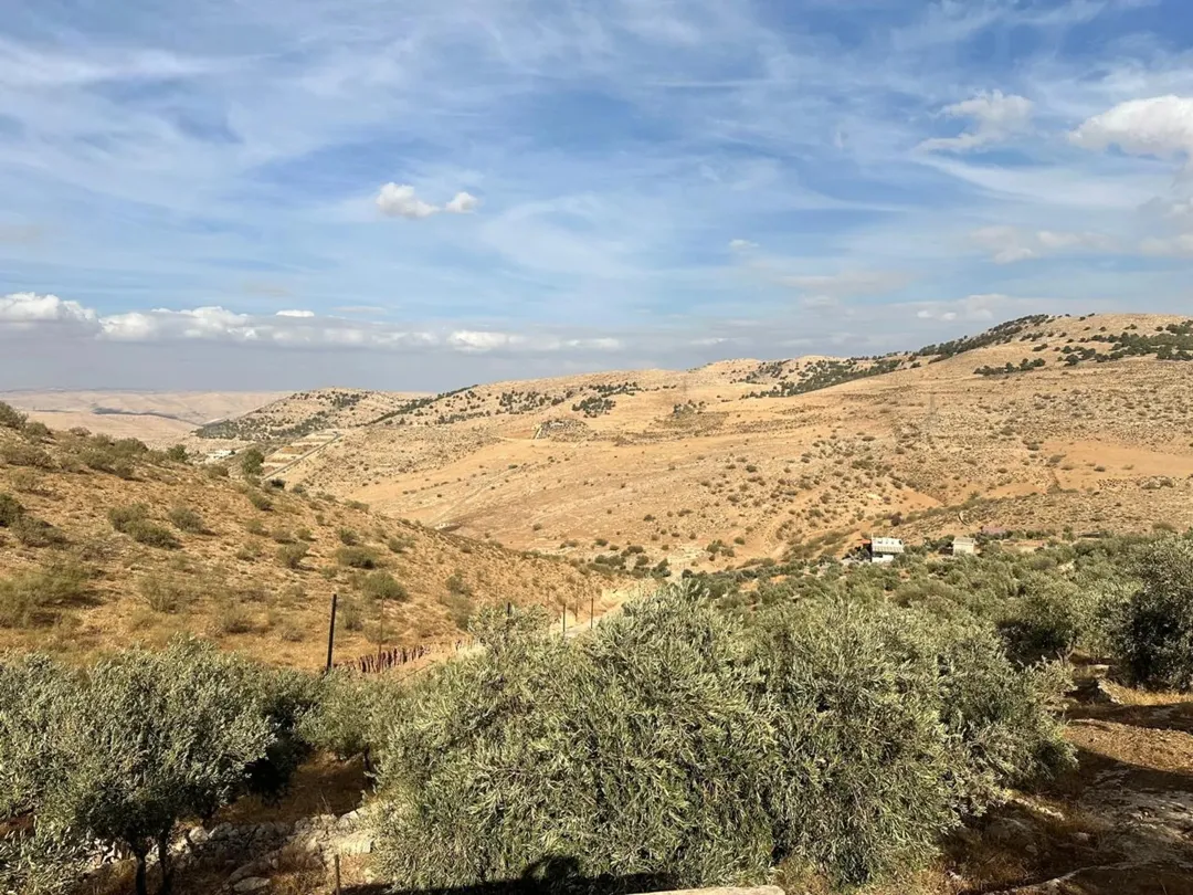 مزرعة في بيرين بسعر حرق — صورة 2