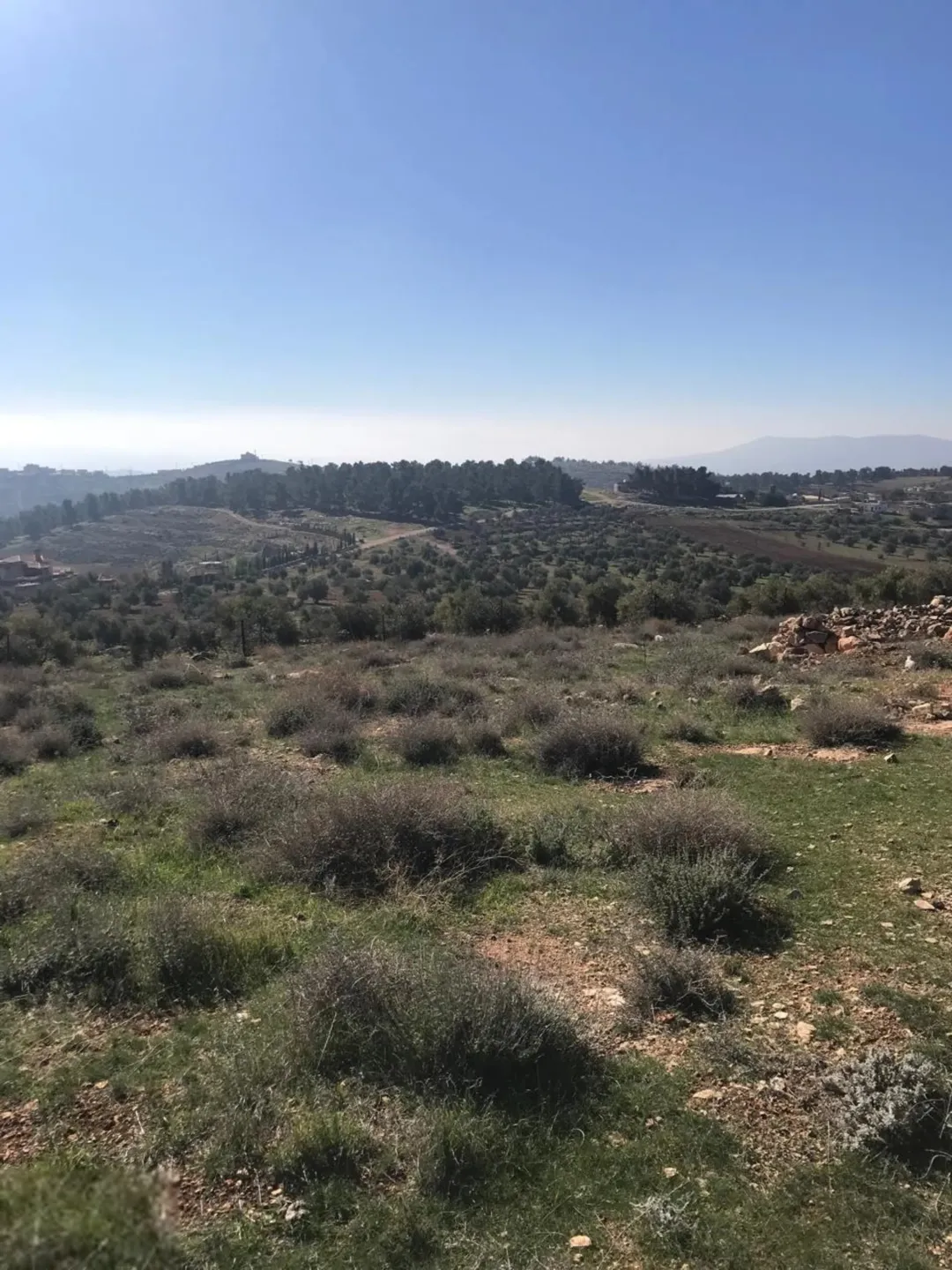 ارض زراعية/سكنية مميزة للبيع في جرش (جبا) مباشرة