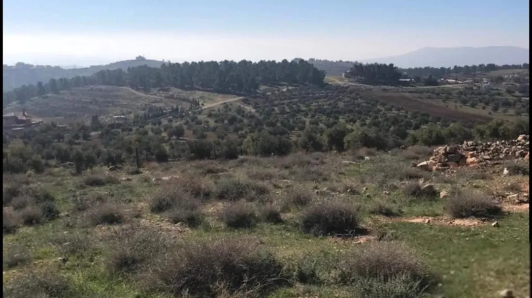 ارض زراعية/سكنية مميزة للبيع في جرش (جبا) مباشرة