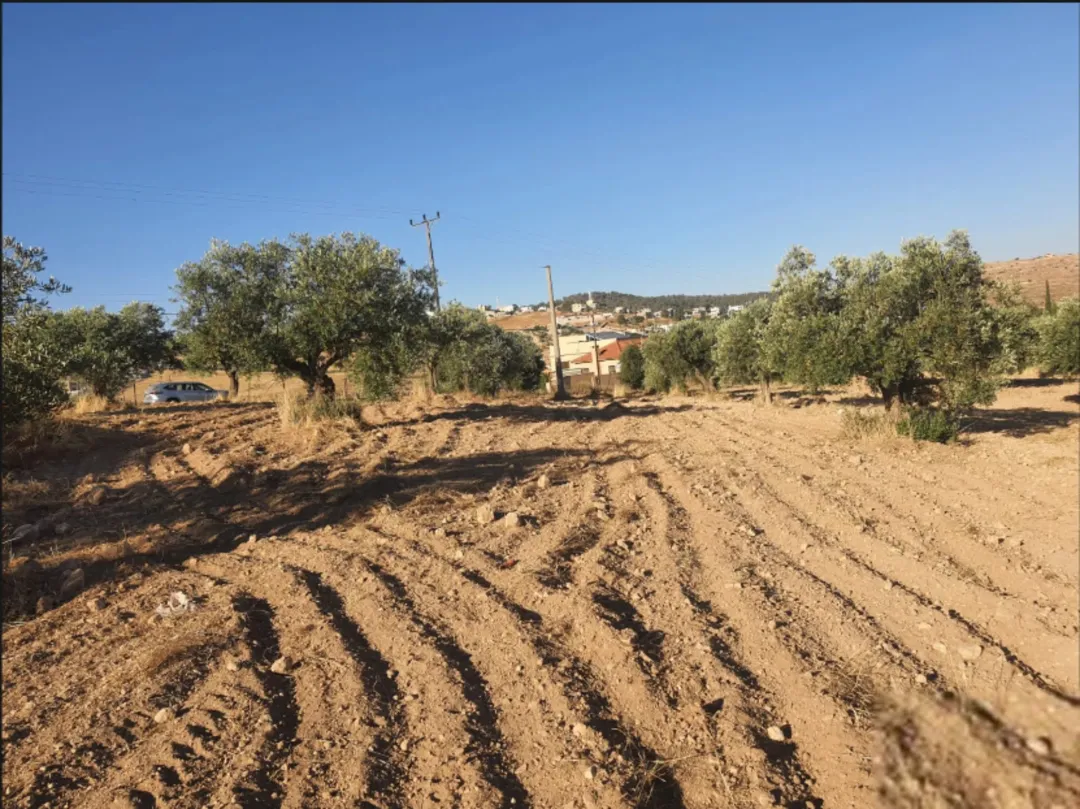 أرض مميزة للبيع في نادرة – المفرق