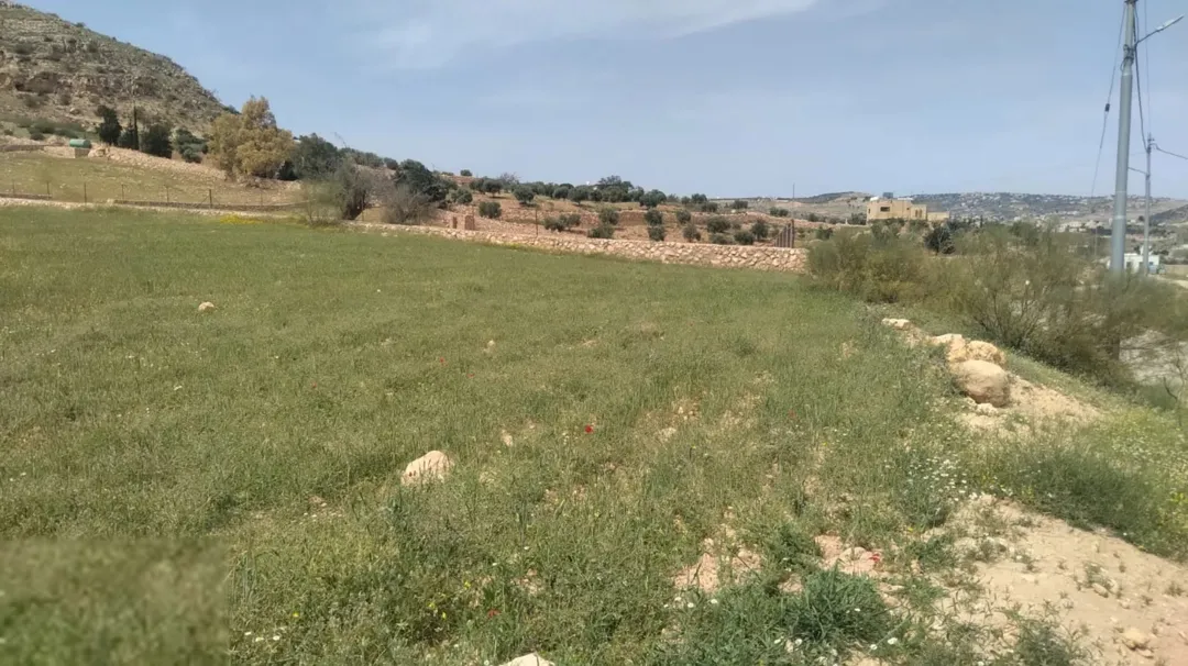 قطعة أرض زراعية مميزة للبيع في عراق الأمير