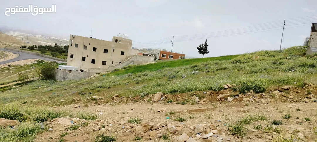 قطعه ارض بأجمل مناطق جريبا