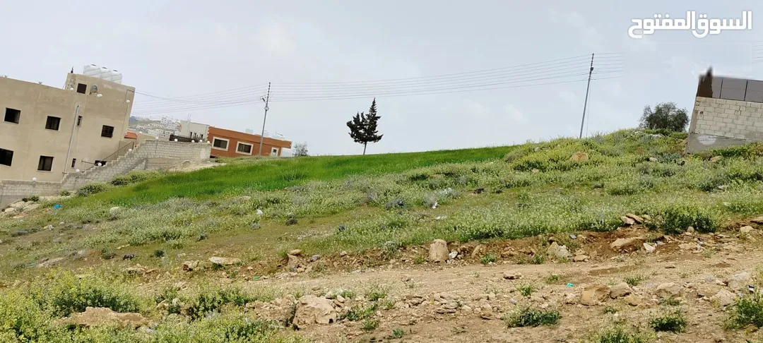 قطعه ارض بأجمل مناطق جريبا