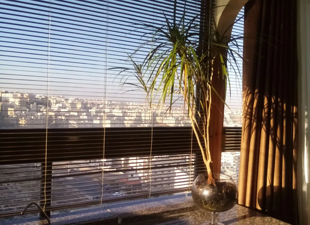 1080