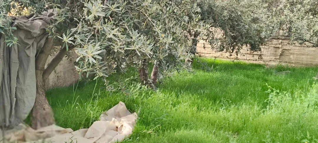 أرض للبيع في أرقى مناطق الزهور