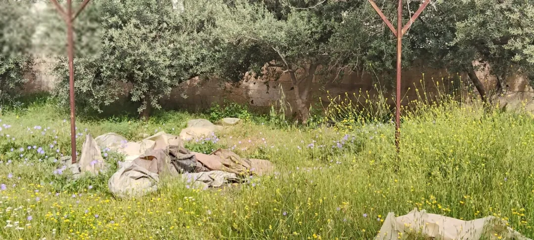 أرض للبيع في أرقى مناطق الزهور
