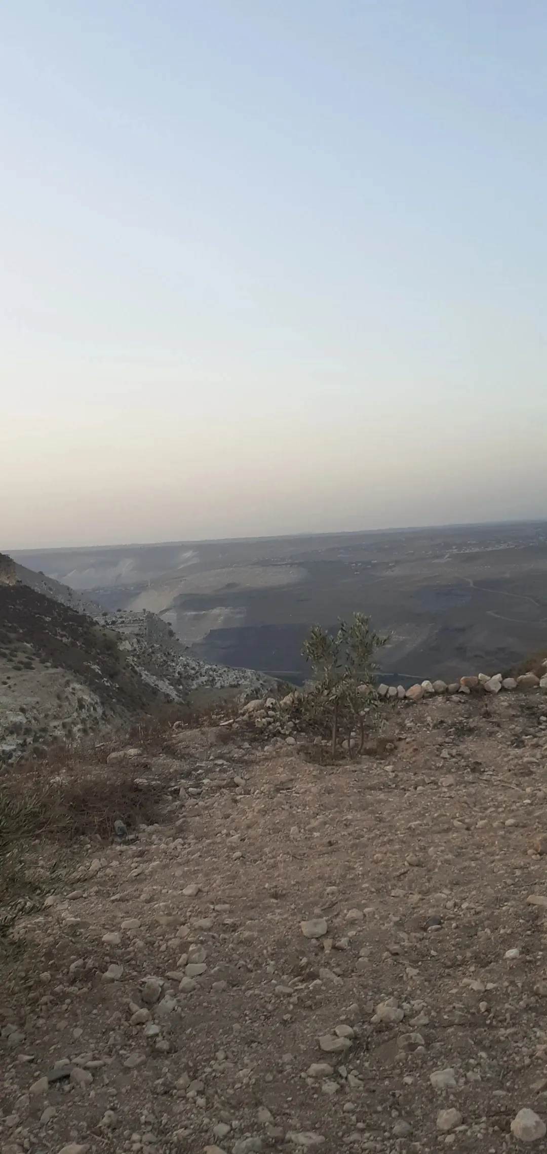أرض للبيع في حرثا طريق عقربا مساحة 7168 متر مربع