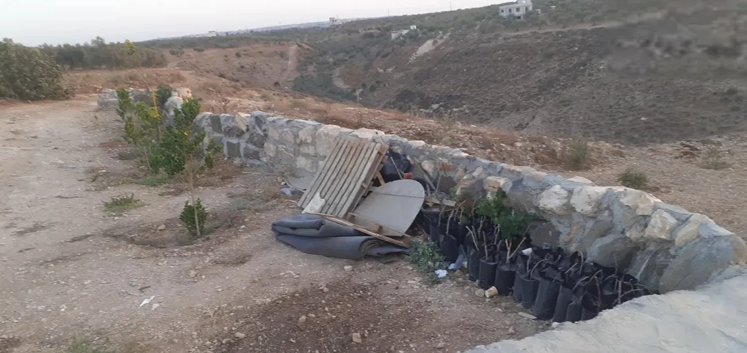 أرض للبيع في حرثا طريق عقربا مساحة 7168 متر مربع
