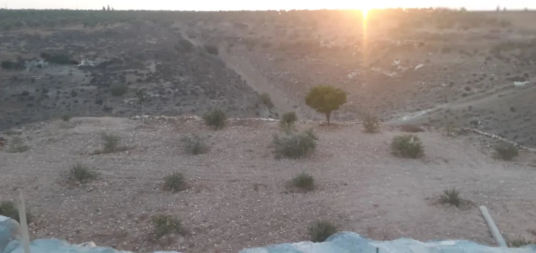 أرض للبيع في حرثا طريق عقربا مساحة 7168 متر مربع