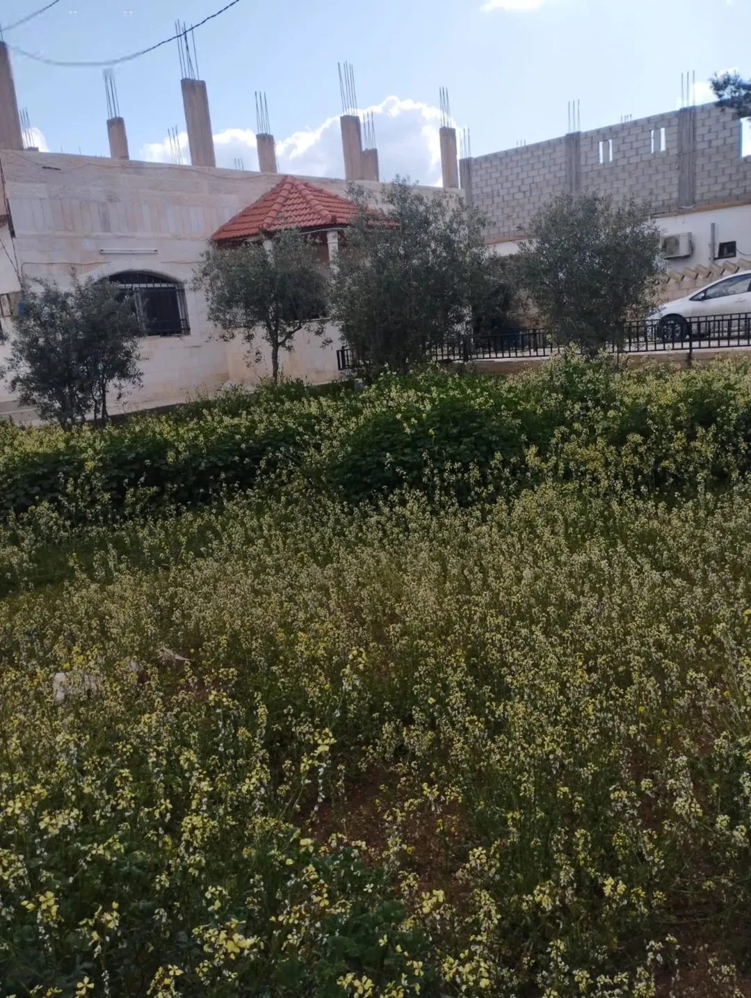 بيت مساحة دونم في المفرق بسعر مغري للجادين فقط كل التفاصيل بل الاعلان