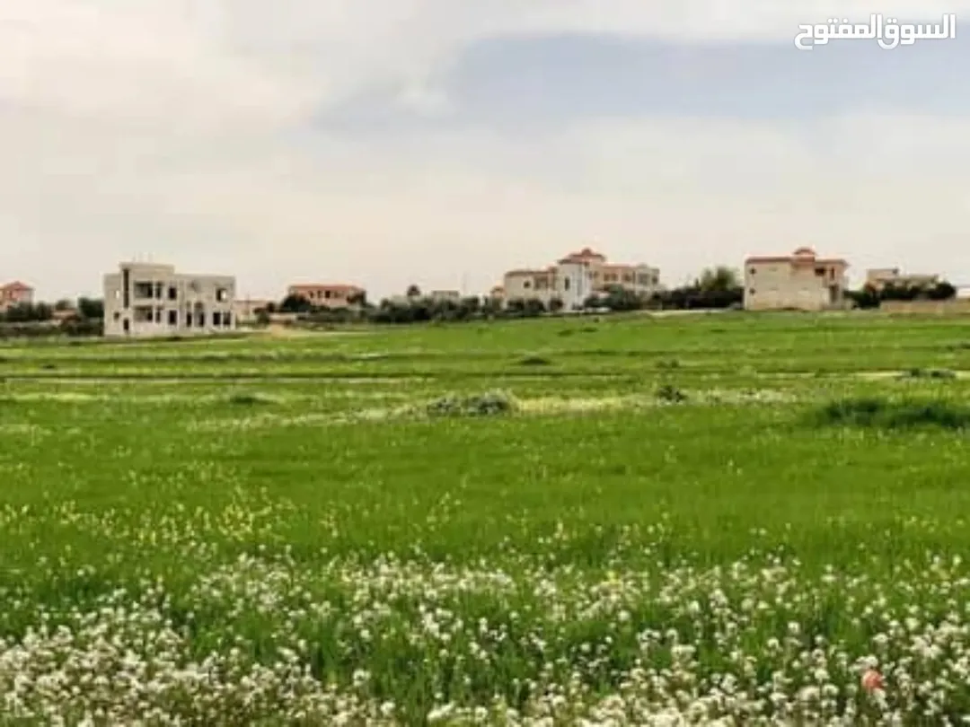 أراضي سكنية للبيع في منطقة إيدون – إربد