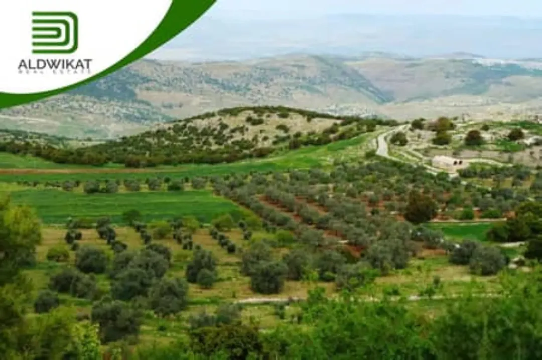 أراضي سكنية للبيع في منطقة إيدون – إربد