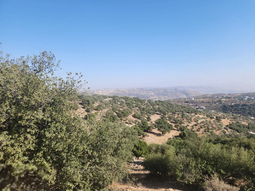 بدر الجديده الميسر أجمل مناطق عمان الغربية اطلالة رائعة رائعة على الغرب