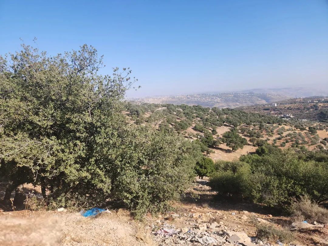 بدر الجديده الميسر أجمل مناطق عمان الغربية اطلالة رائعة رائعة على الغرب