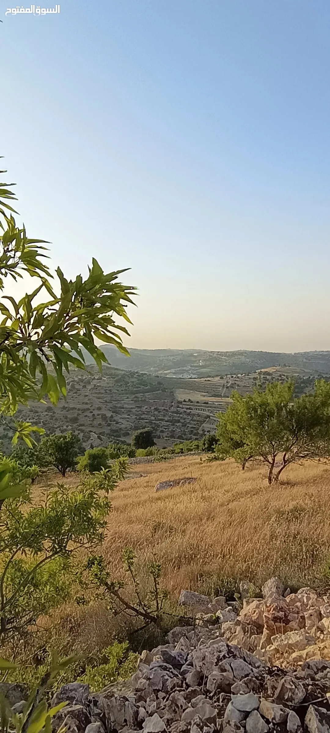 فيلا فاخرة للبيع في جرش بموقع استراتيجي وإطلالة بانورامية