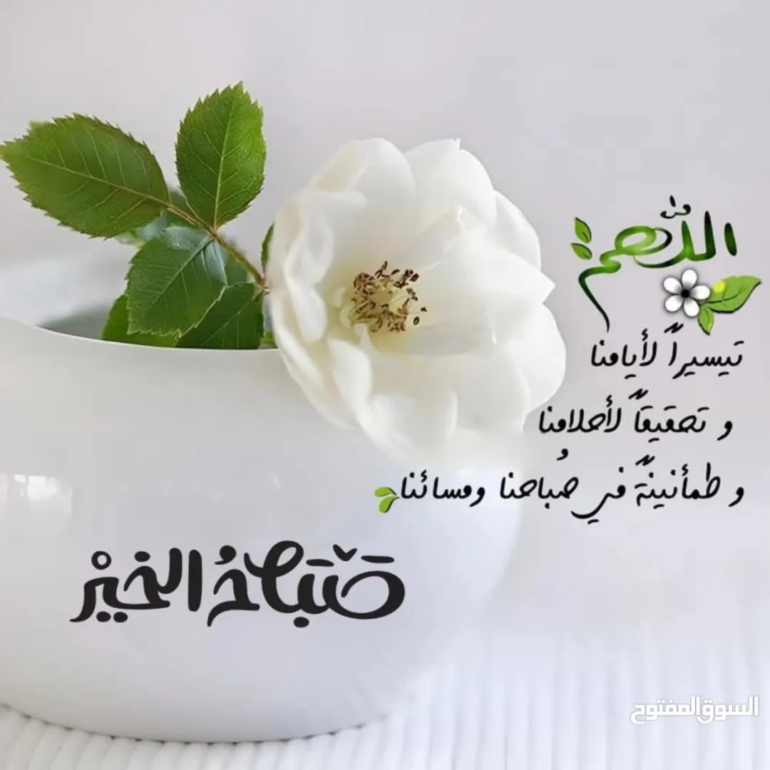 شقة مميزة للبيع