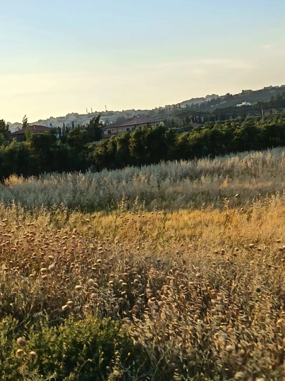 أرض للبيع في ناعور – حوض بريح – مساحة 2,000 متر مربع